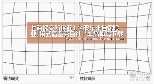 上海保交所将近3/4股东来自保险业 模式借鉴劳合社‘半岛体育下载’(图2) 半岛体育网址