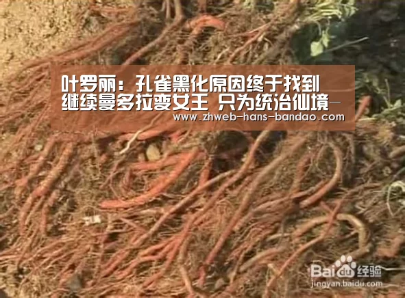 半岛体育下载