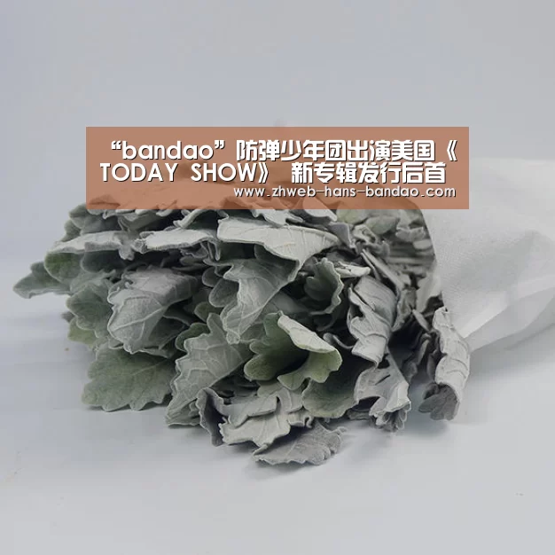 “bandao”防弹少年团出演美国《TODAY SHOW》 新专辑发行后首个脱口秀(图4) 半岛体育网址