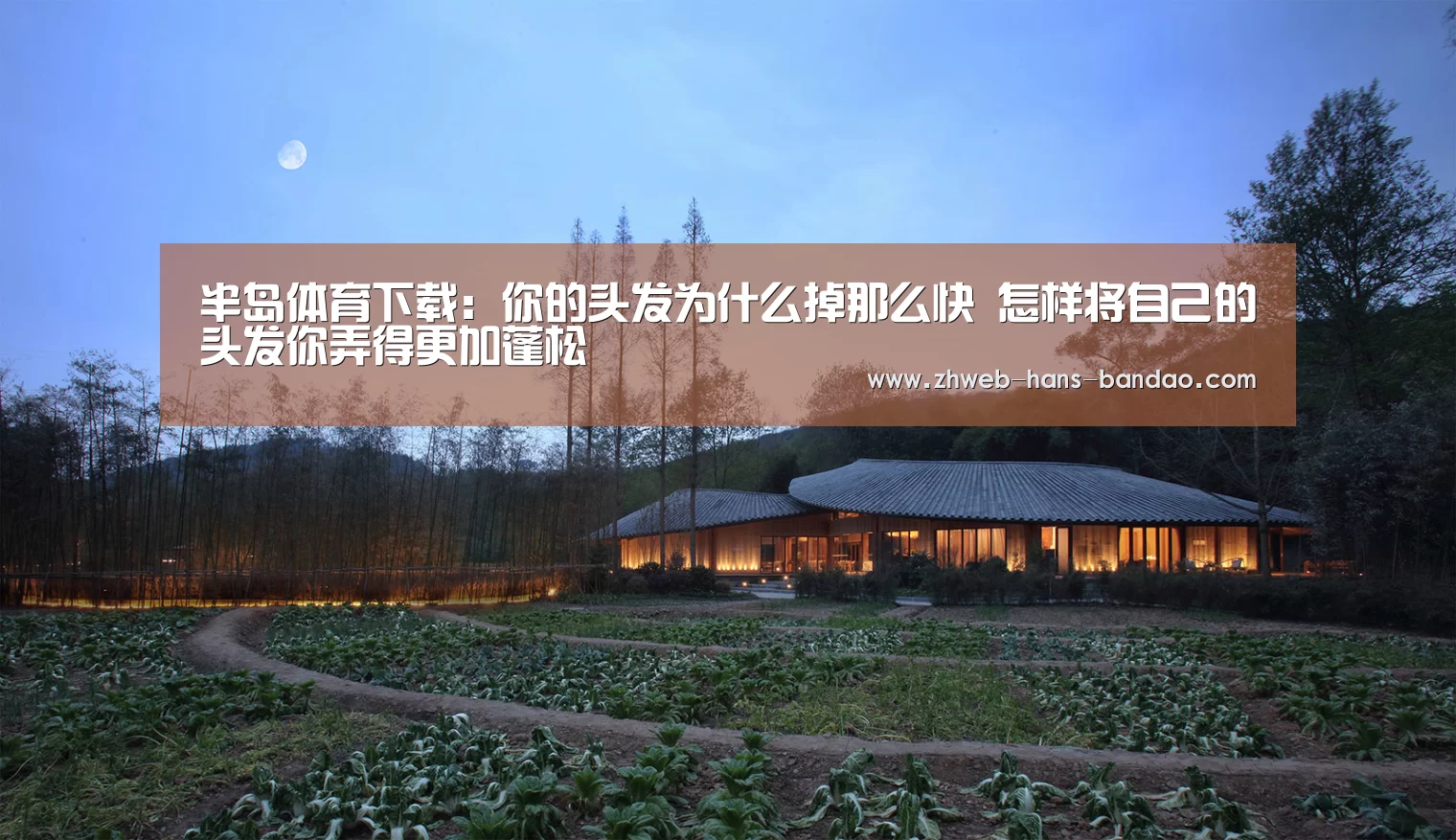 半岛体育下载:你的头发为什么掉那么快 怎样将自己的头发你弄得更加蓬松(图2) 半岛体育下载