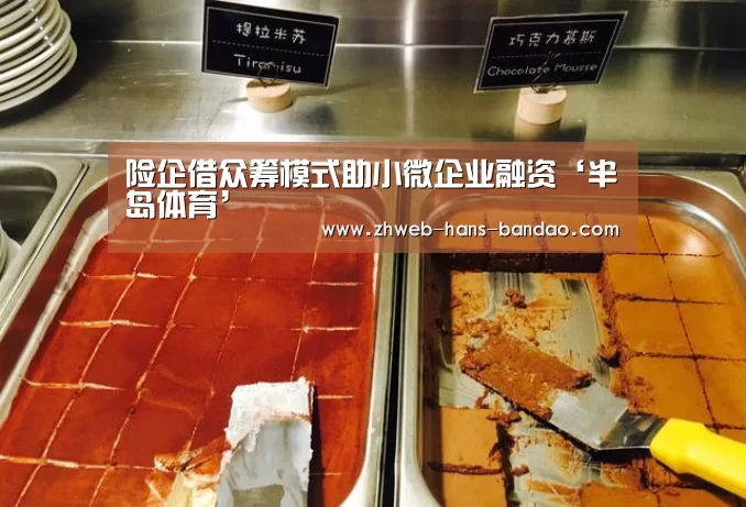 险企借众筹模式助小微企业融资‘半岛体育’(图3) 半岛体育