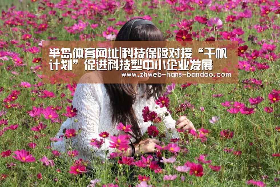 半岛体育