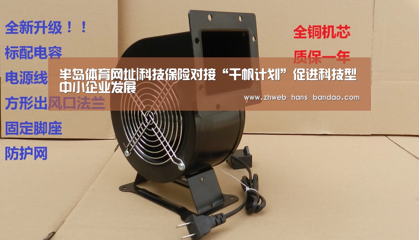 半岛体育网址|科技保险对接“千帆计划”促进科技型中小企业发展(图4)