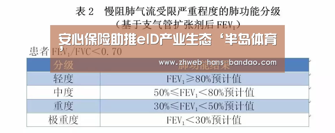 安心保险助推eID产业生态‘半岛体育’